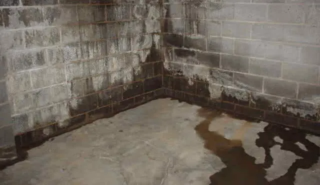 Completely Dry Waterproofing Picture 7
