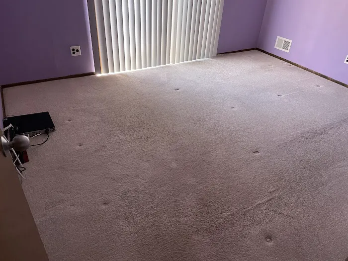 Stanley Steemer Picture 3