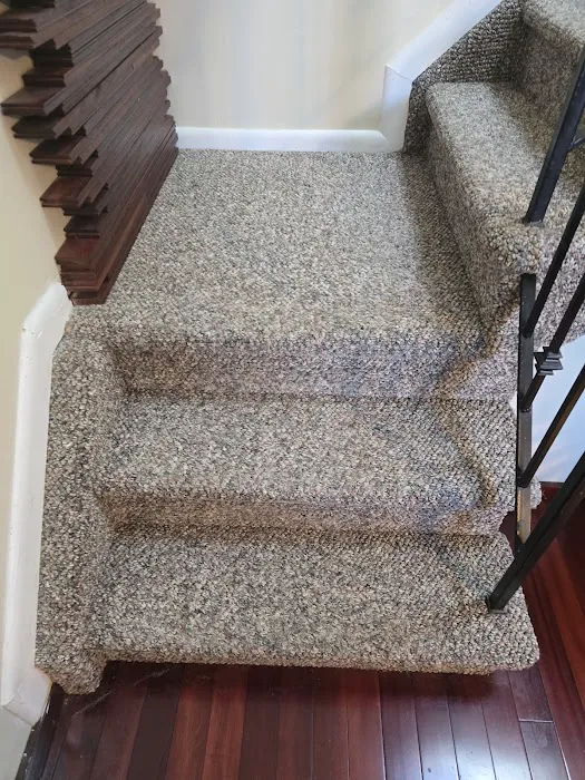 Stanley Steemer Picture 1