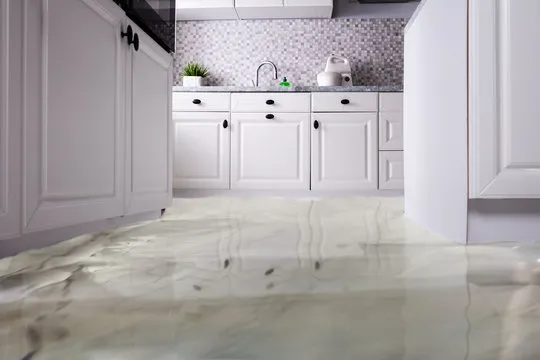 Bay Ridge Experts Picture 1