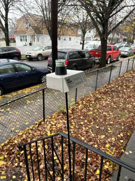 Choice Mold Removal & Water Damage Restoration Picture 2