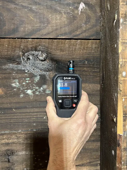 Choice Mold Removal & Water Damage Restoration Picture 3