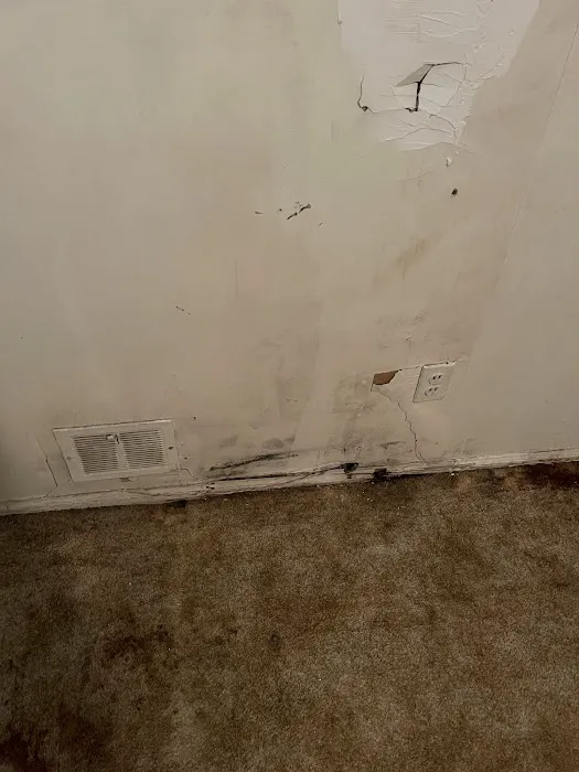 Choice Mold Removal & Water Damage Restoration Picture 7