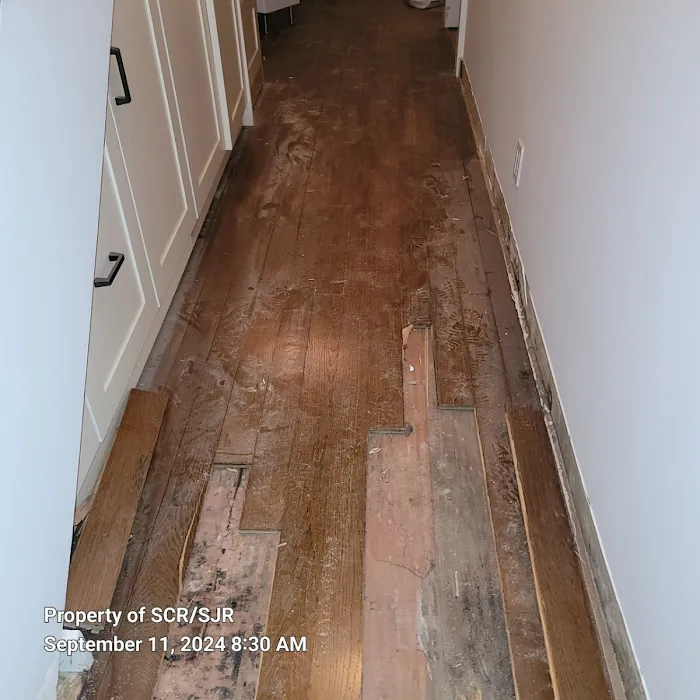 Strictly Cleaning Restoration Picture 8