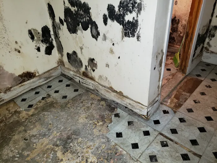 Strictly Cleaning Restoration Picture 6