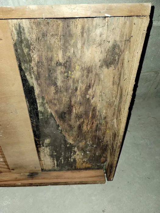 Strictly Cleaning Restoration Picture 7