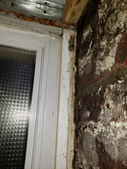 Strictly Cleaning Restoration Picture 2