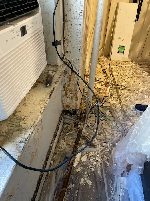 NY Mold Services LLC-Mold Removal Picture 5