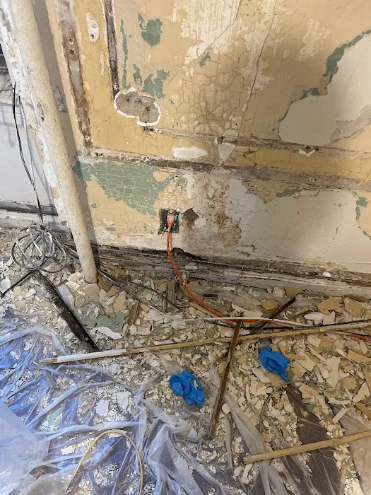 NY Mold Services LLC-Mold Removal Picture 7