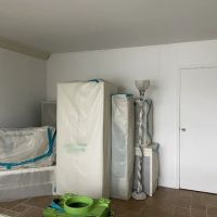NY Mold Services LLC-Mold Removal ico