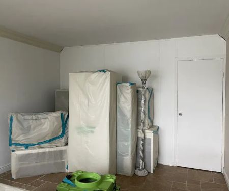 NY Mold Services LLC-Mold Removal