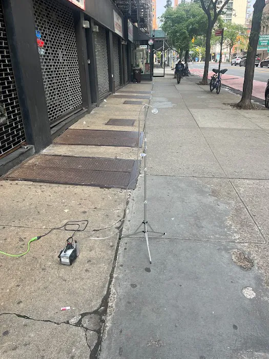 NY Mold Services LLC-Mold Removal Picture 6