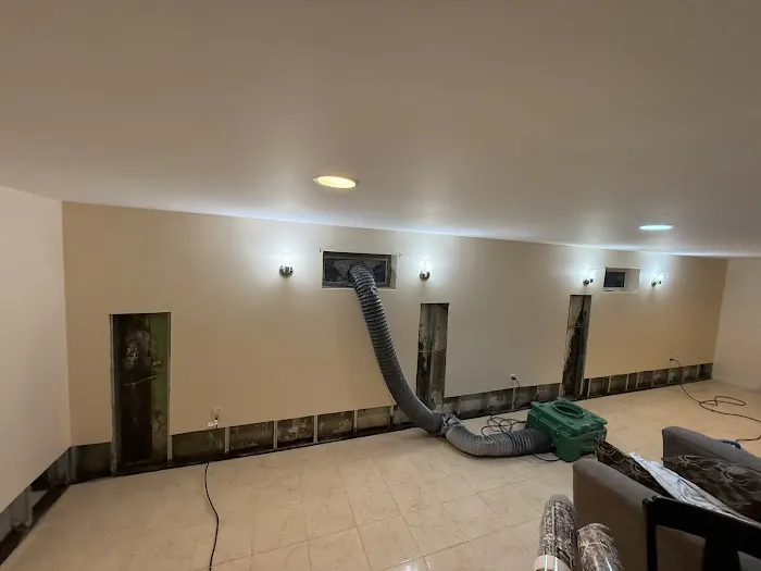 NY Mold Services LLC-Mold Removal Picture 9