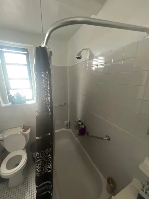 NY Mold Services LLC-Mold Removal Picture 8