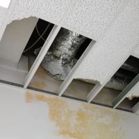 Flooded Valley Stream ico