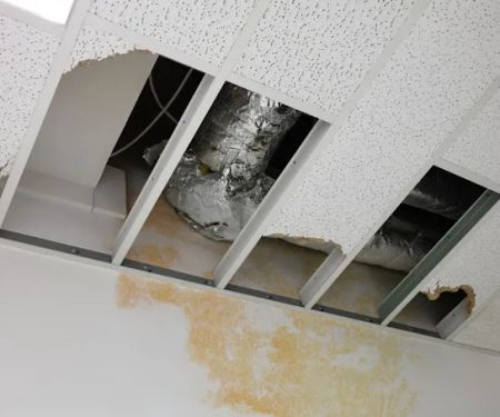 Flooded Valley Stream