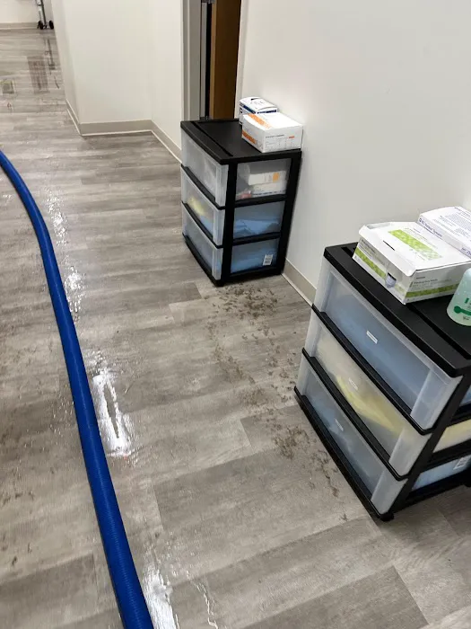 Flooded Valley Stream Picture 6