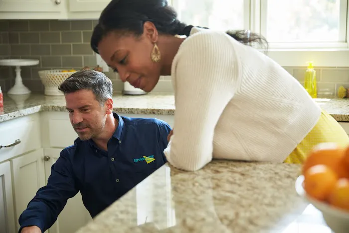 ServiceMaster Professional Restoration Picture 2