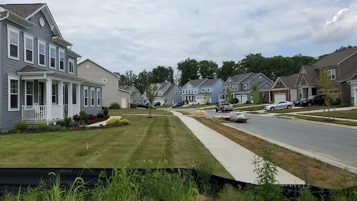 Flood Cleanup Service Picture 1