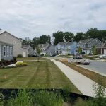 Flood Cleanup Service