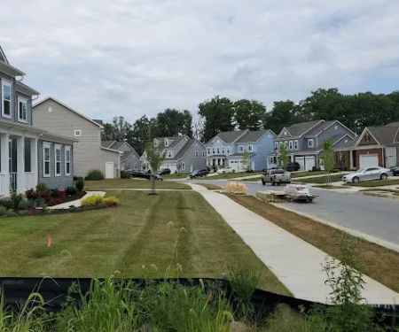 Flood Cleanup Service