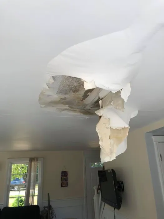 Fresh Maintenance Picture 1