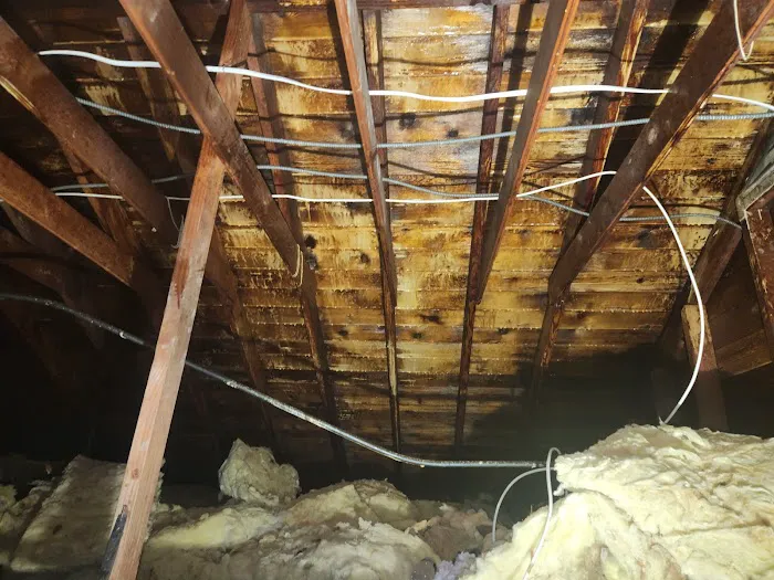 Fresh Maintenance Picture 3