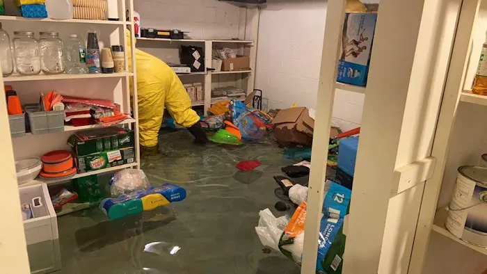 Fresh Maintenance Picture 5