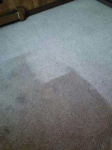 Carpet Express Cleaning Inc. Picture 5