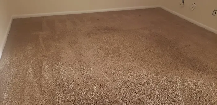 Carpet Express Cleaning Inc. Picture 3