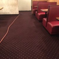 Carpet Express Cleaning Inc. ico