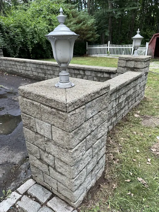 Regional Mold LLC Property Services Picture 2