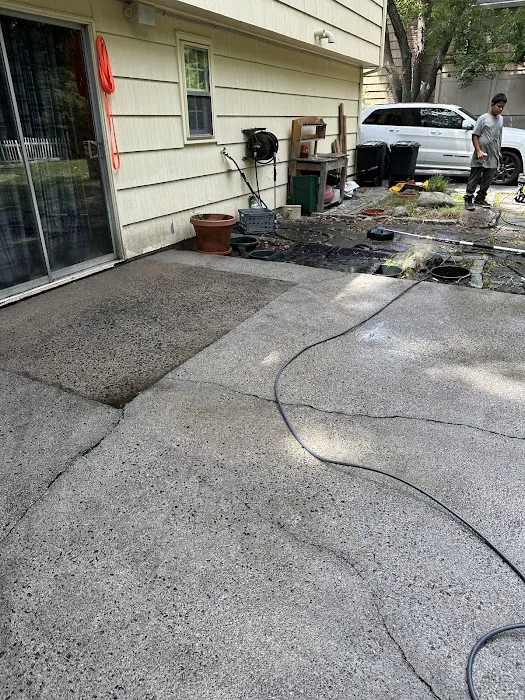 Regional Mold LLC Property Services Picture 1