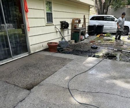 Regional Mold LLC Property Services