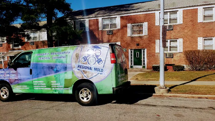 Regional Mold LLC Property Services Picture 3