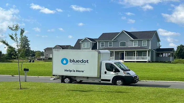 Blue Dot Restoration Picture 1