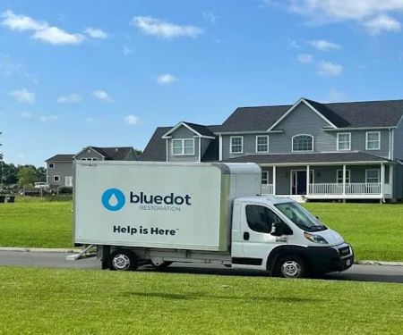 Blue Dot Restoration