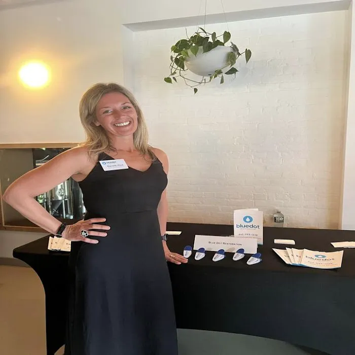 Blue Dot Restoration Picture 9