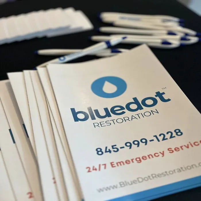 Blue Dot Restoration Picture 8