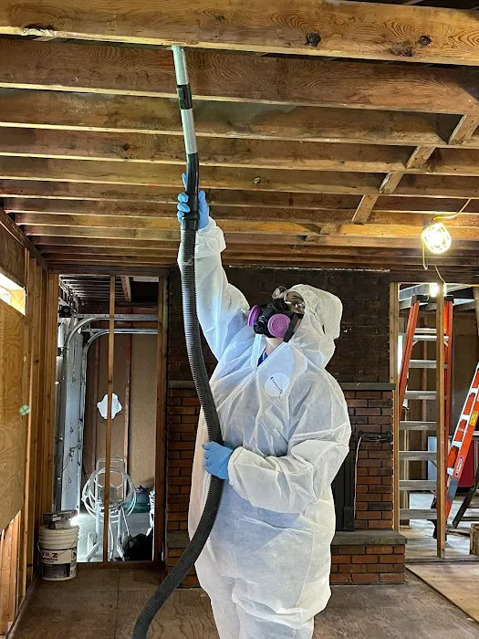 Blue Dot Restoration Picture 2