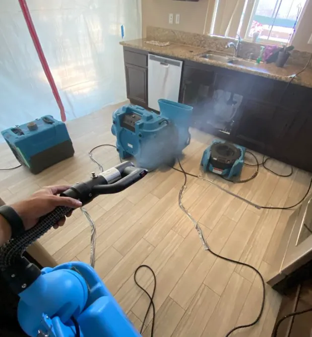 Carmel's Mold Removal Picture 5