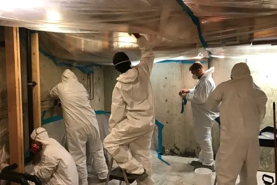 Carmel's Mold Removal Picture 3