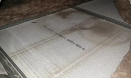 Carmel's Mold Removal Picture 1