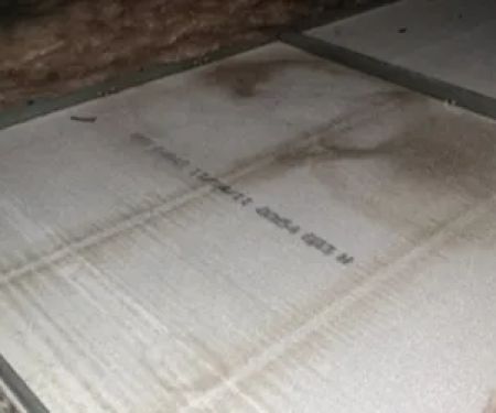 Carmel's Mold Removal