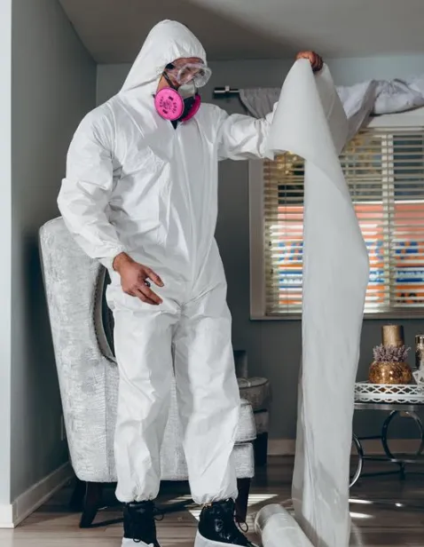 Carmel's Mold Removal Picture 2