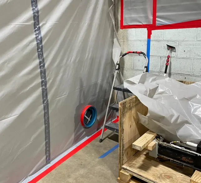 Carmel's Mold Removal Picture 4