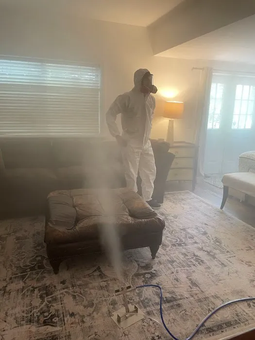 NY Mold & Clean Air Solutions Picture 3