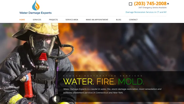 Water Damage Experts LLC Picture 1