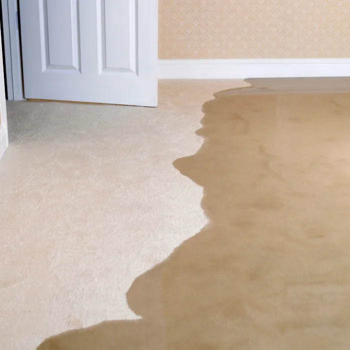 Paul Davis Restoration of Fairfield and Westchester Counties Picture 3