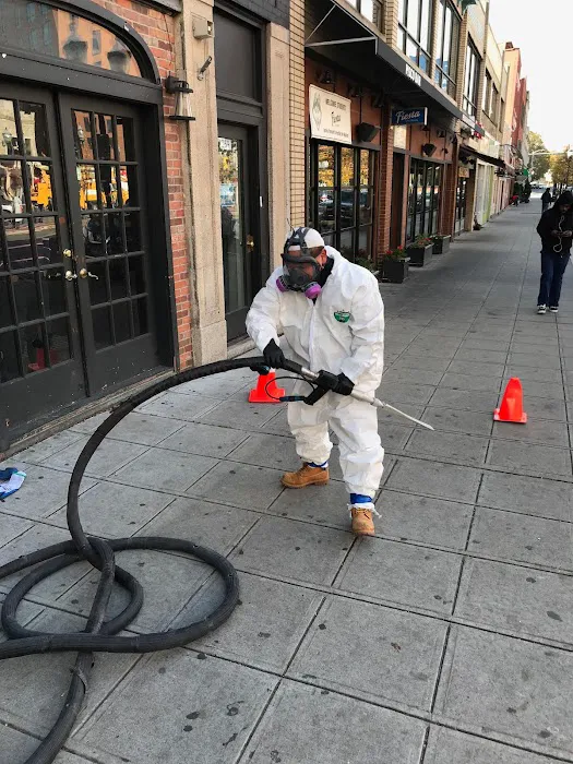 SERVPRO of Stamford Picture 5